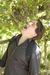 grapes!.jpeg